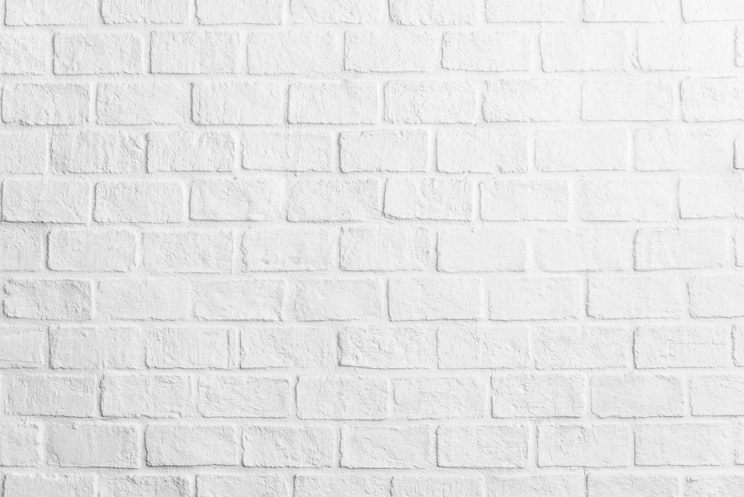 background-scaled.jpg